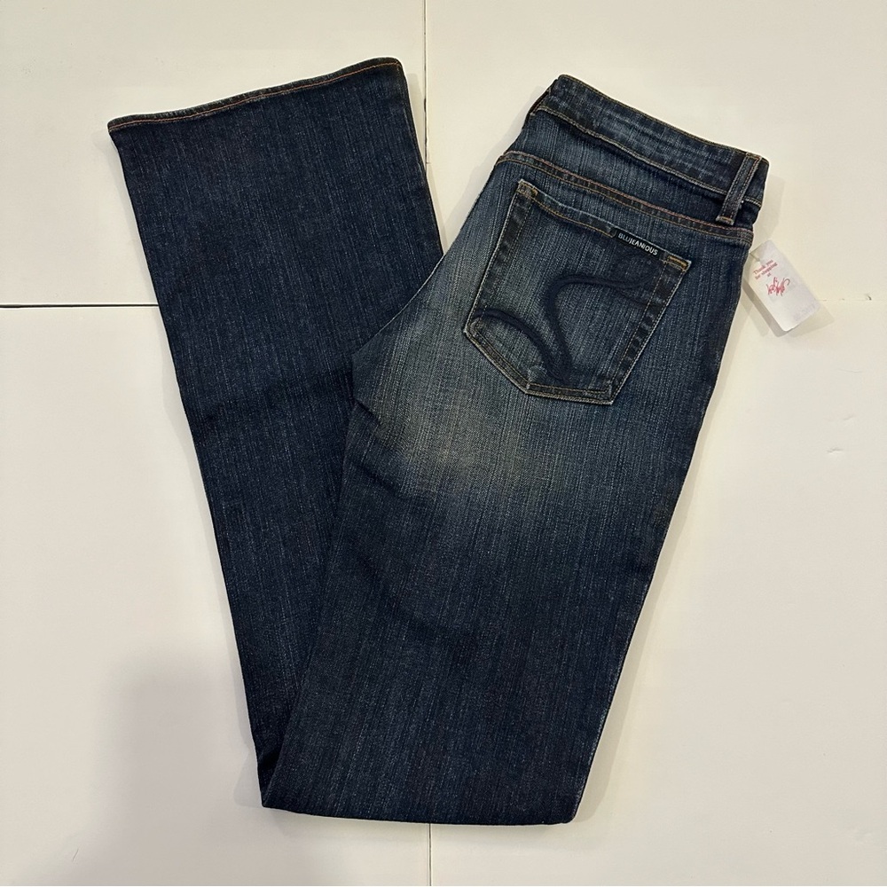 BLUJEANIOUS Women’s Vintage Jeans Size 28